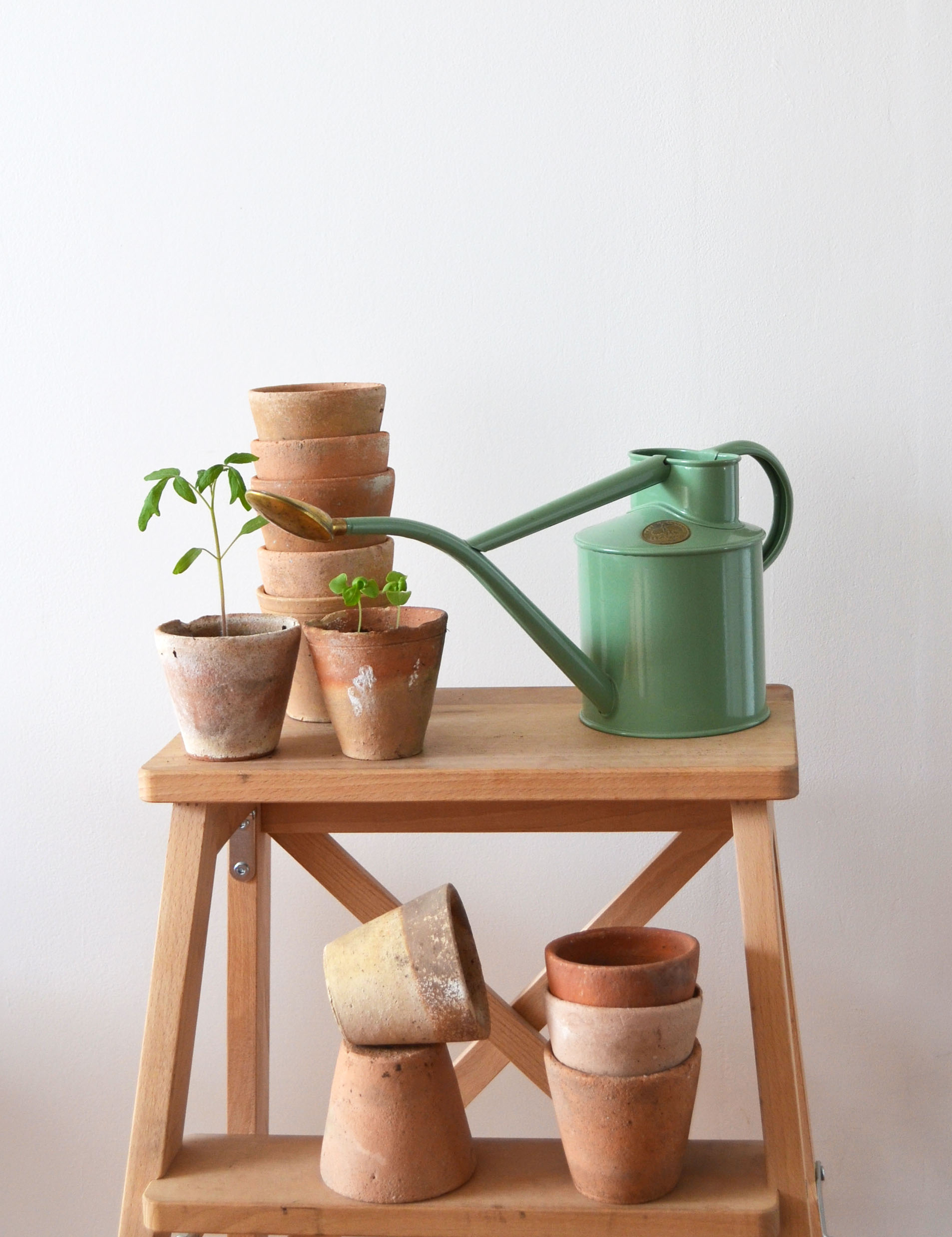 10 old terracotta seedling pots