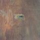 Series of three chairs Stol Kamnik