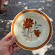 Gien - 6 dessert plates