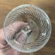 6 engraved crystal wine glasses with stems