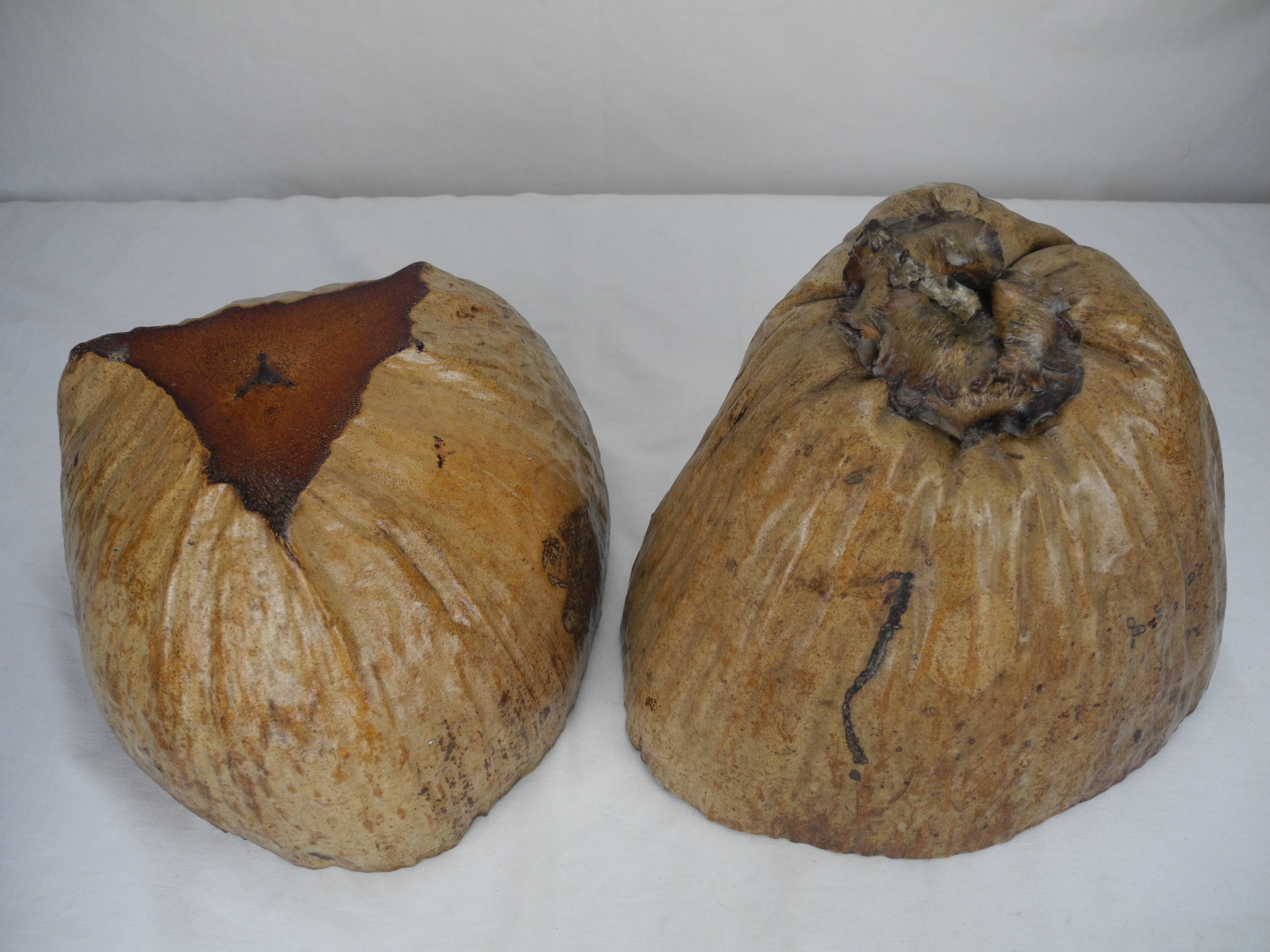 Old ice bucket coconut deco vintage