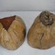 Old ice bucket coconut deco vintage