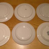 Set of 6 different flat plates