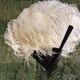 Fan scale ostrich feathers Napoleon III