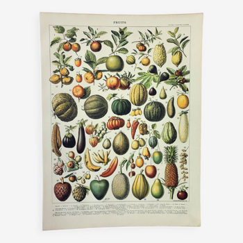 Old engraving 1898, Fruits (exotic), varieties • Lithograph, Original plate