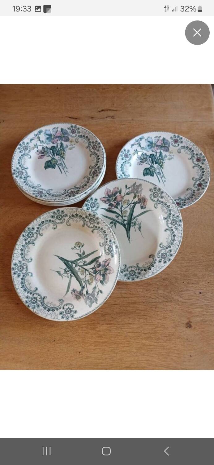 7 old flat plates Terre de fer