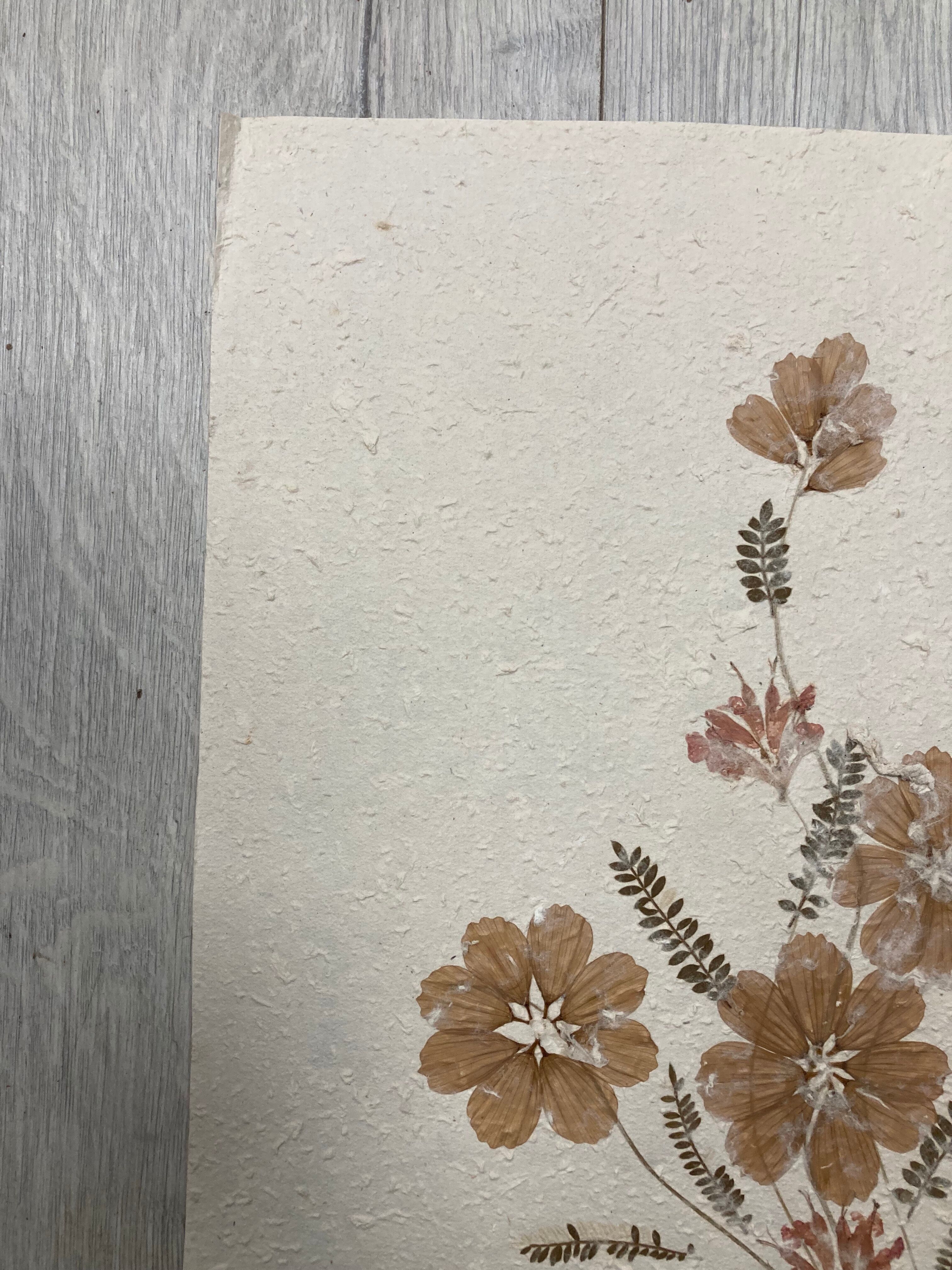 Planche fleurs séchées