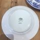 Set of 2 landscape and blue flower plates Promogros