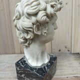 Reproduction tête de David