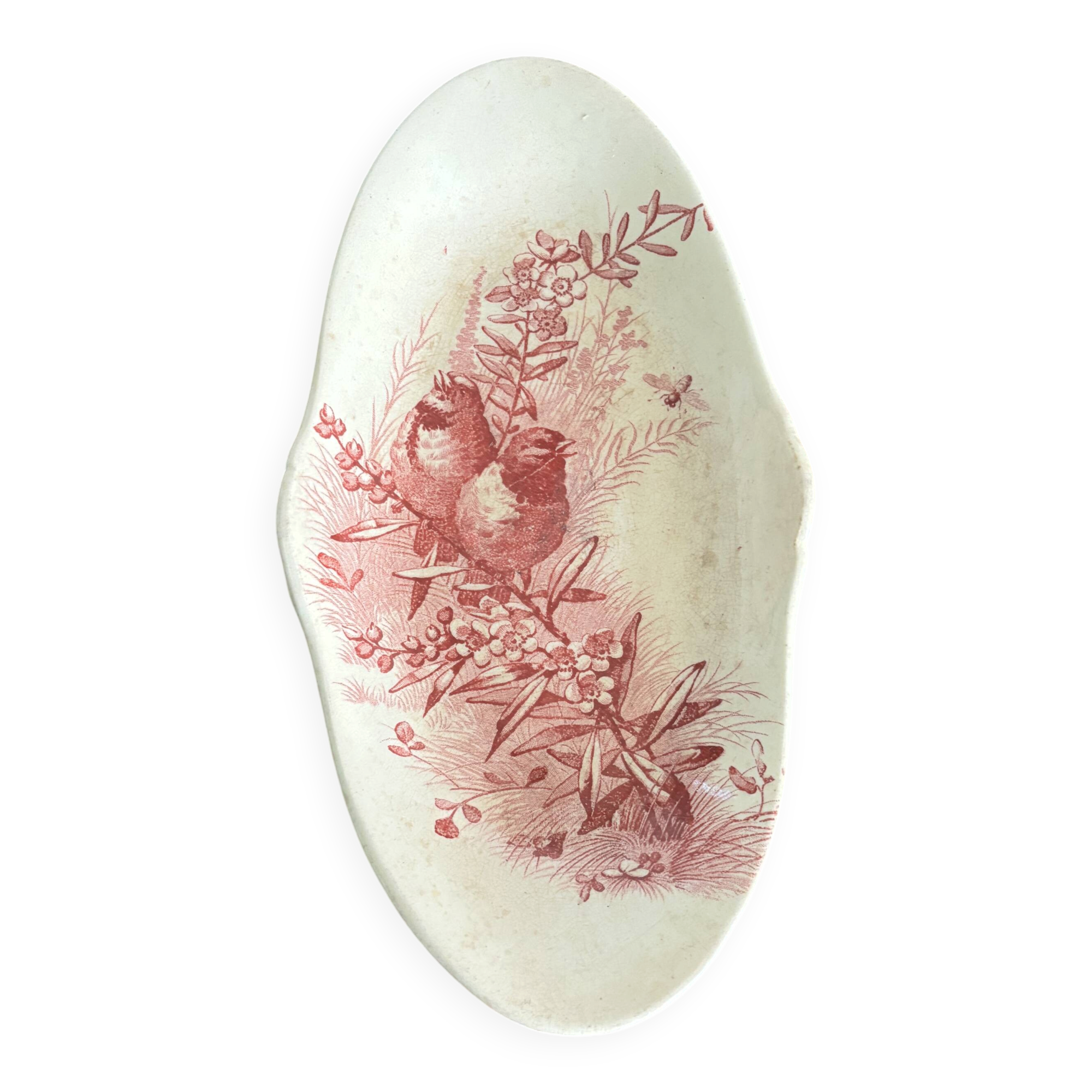 Old Ravier Jules Vieillard Bordeaux – Bird Service – 19th century