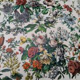 Printed in 1905, the flowers of trees and shrubs