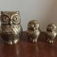 Family of owls owls brass