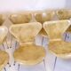 Set of eight Seven chairs - Model 3107 - natural leather - Arne Jacobsen - Fritz Hansen