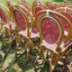 Lot of 21 chairs