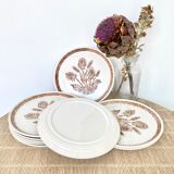 9 dessert plates herbarium thistles