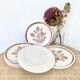 9 dessert plates herbarium thistles