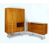 Armoire en frêne et noyer du milieu du siècle de Jitona, années 1960