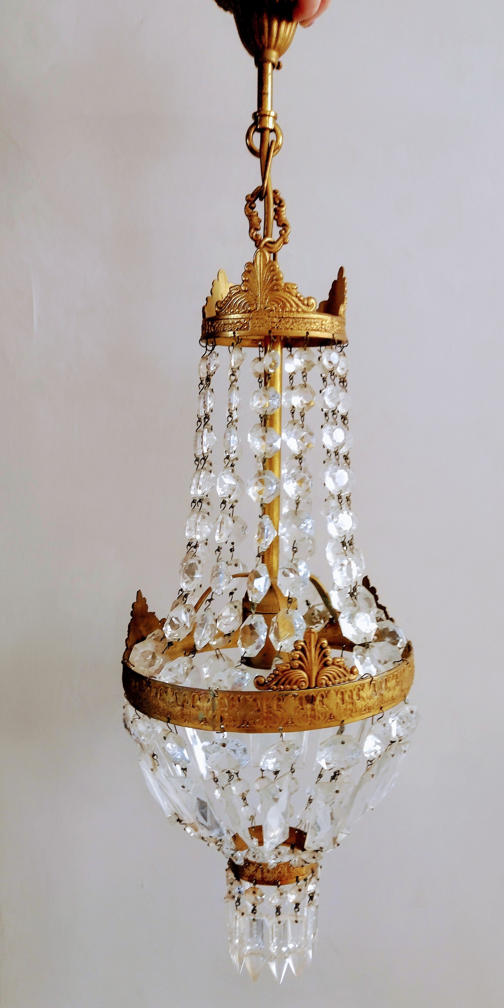 Grape variety chandelier