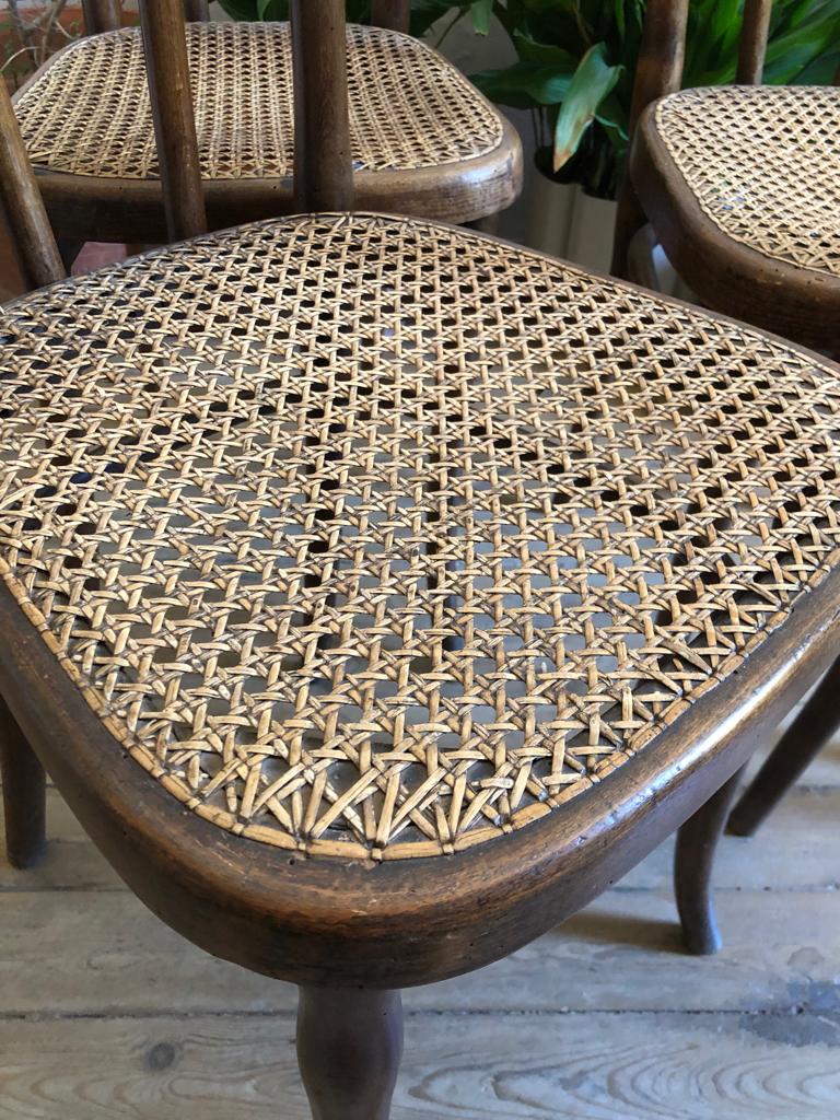 Old bistro chairs Thonet Hofmann curved wood