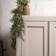 Armoire parisienne