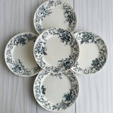 Set of 5 vintage earthenware flat plates
