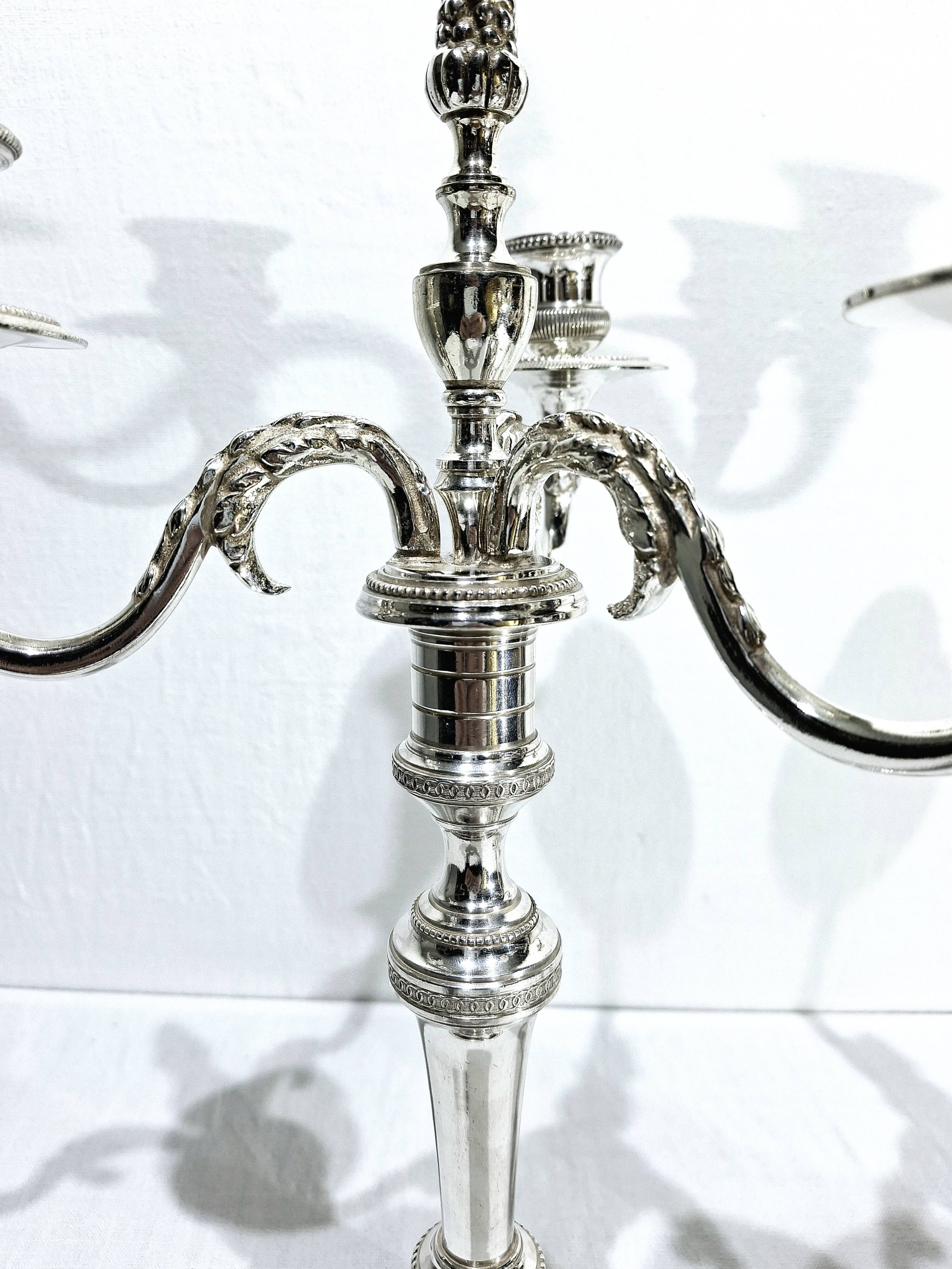 Chrysalia - pair of silvered bronze candelabra / €580