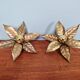Pair of floral wall sconces in brass, design by Willy Daro, 1970.