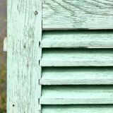 Old wood volet mint color