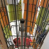 Carrying photo postcard