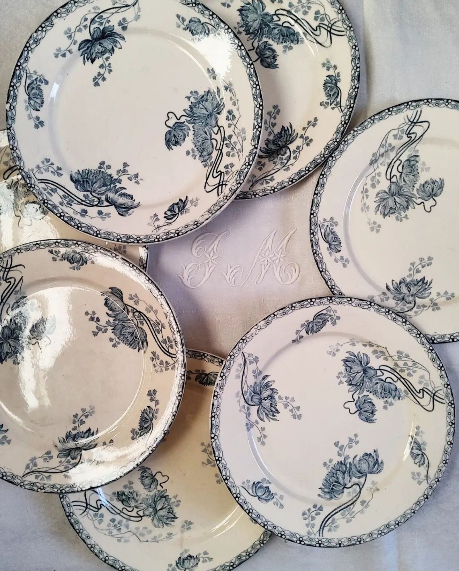 Lot of old plates in iron earth