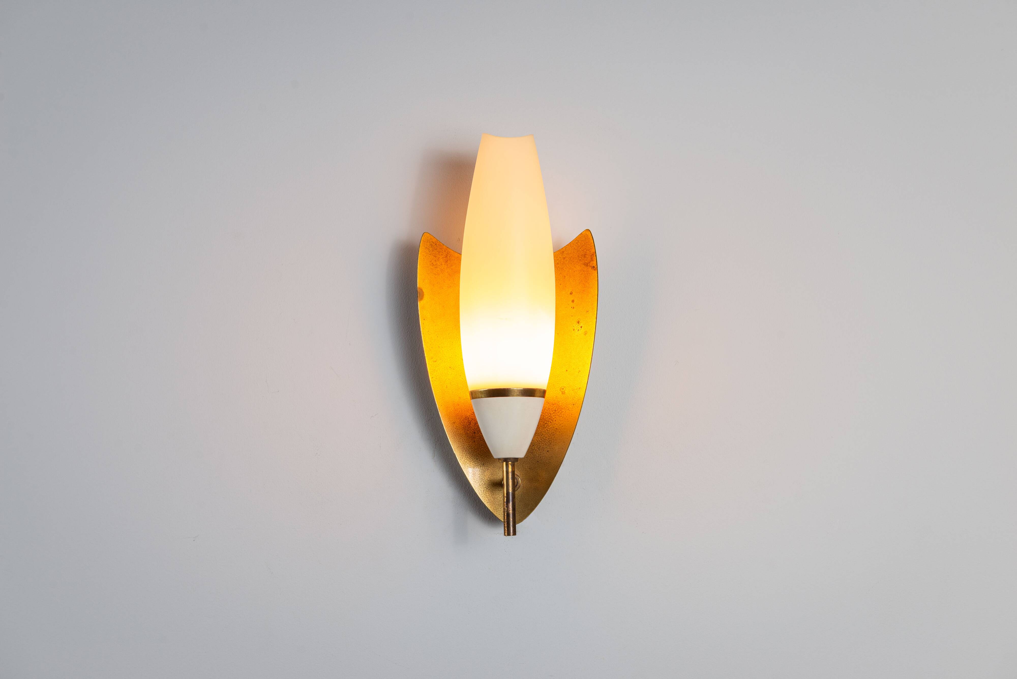 Pair of wall lamps with brass shields and glass shades