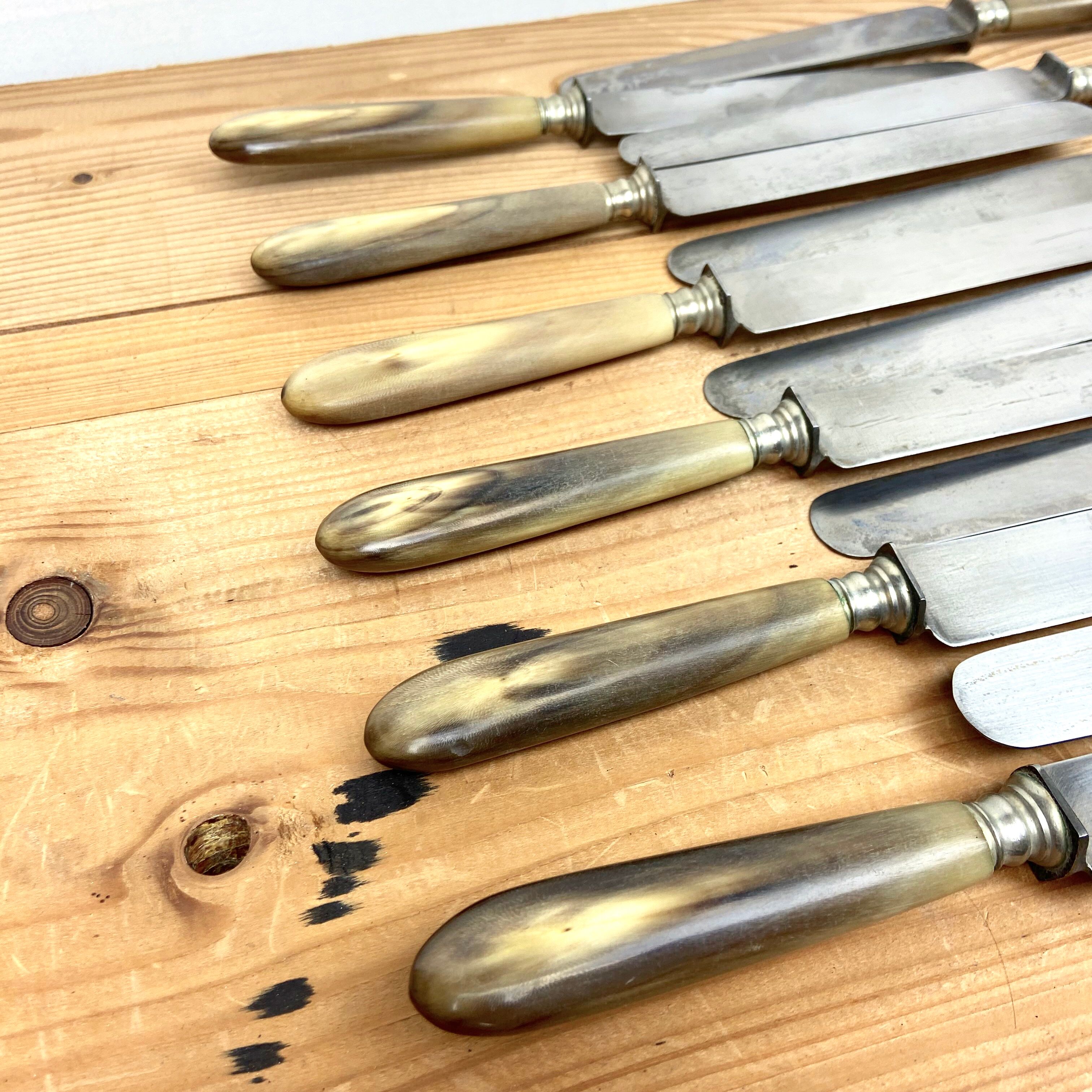 Service Of 12 Table Knives - Blonde Horn Handle