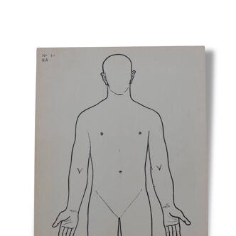 Illustration anatomie Arnault editeur