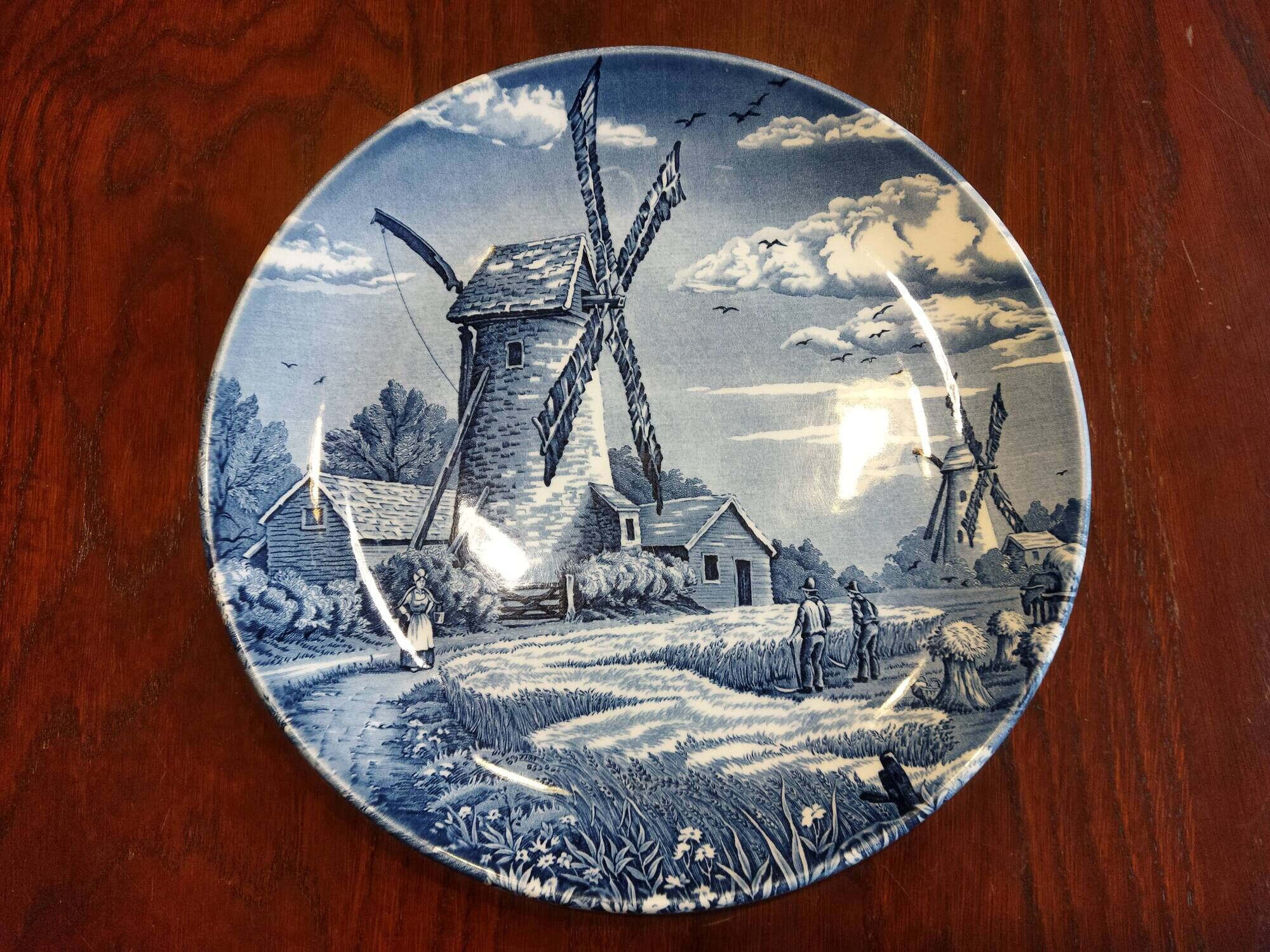 8 blue & white dinner plates (Royal Tudor Gien Lunéville Ceraminter)