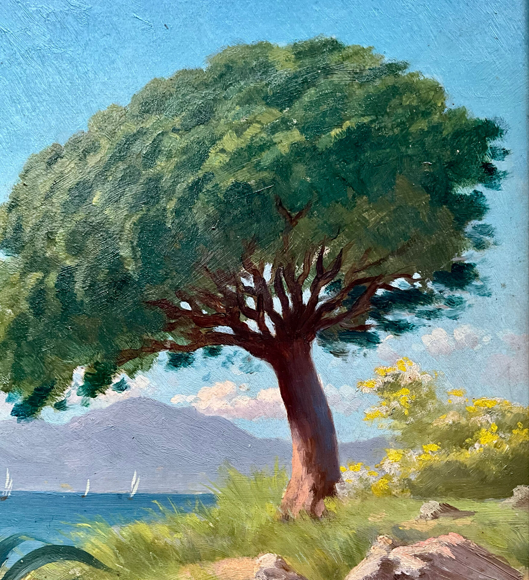 Oil on panel Cannes La Bocca 1909 signed Tom Evans