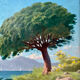 Oil on panel Cannes La Bocca 1909 signed Tom Evans