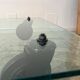 Tavolo coffee table con ruote by Gae Aulenti for Fontana Arte 1980