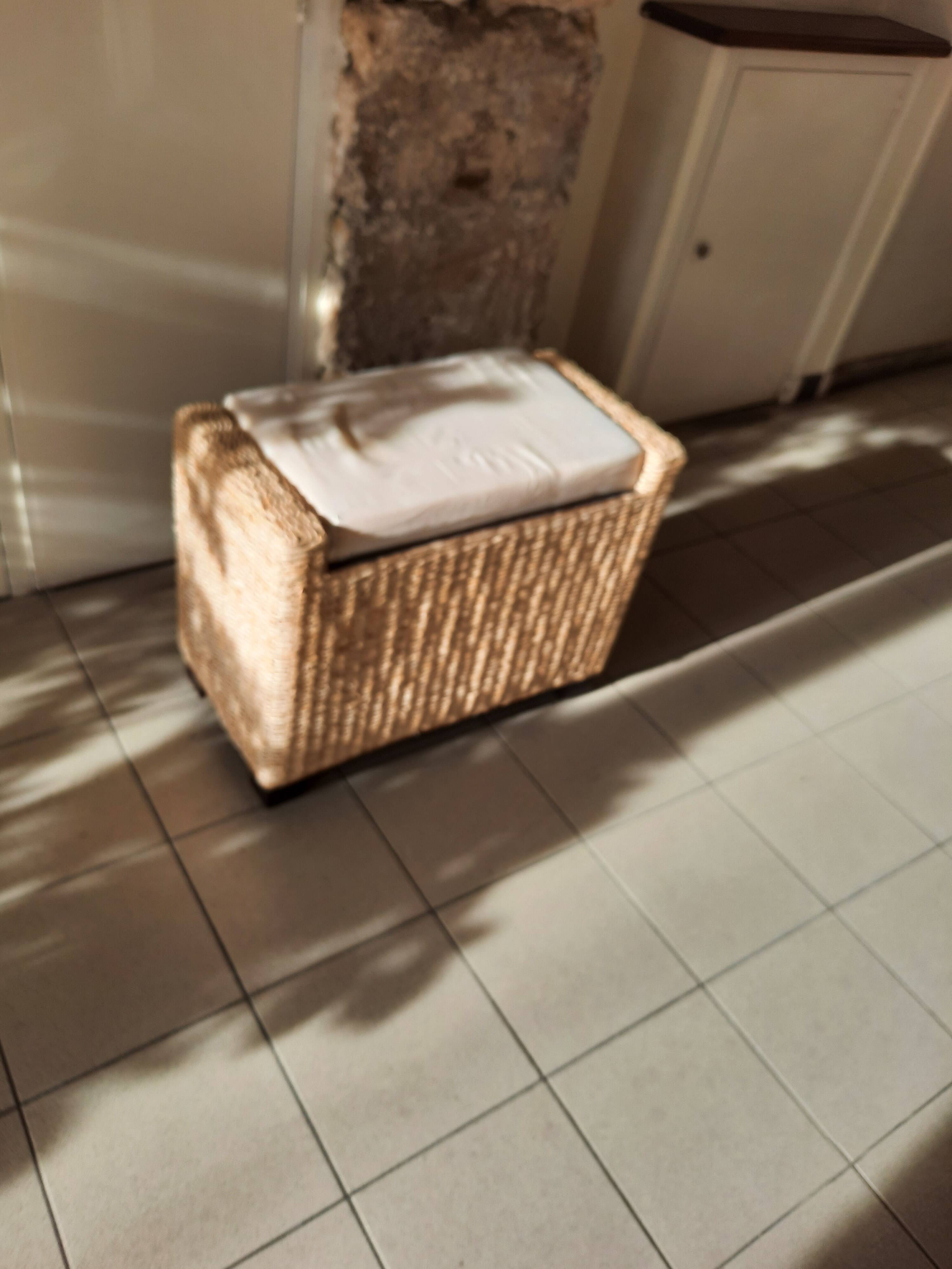 Pouf, coffre en rotin et bois