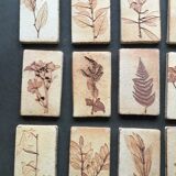 Roger ceramic tiles herbarium model