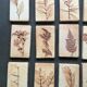 Roger ceramic tiles herbarium model