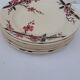 7 flat earthenware plates Moulin des loups & Hamage model Bagatelle diam 23.5 cm