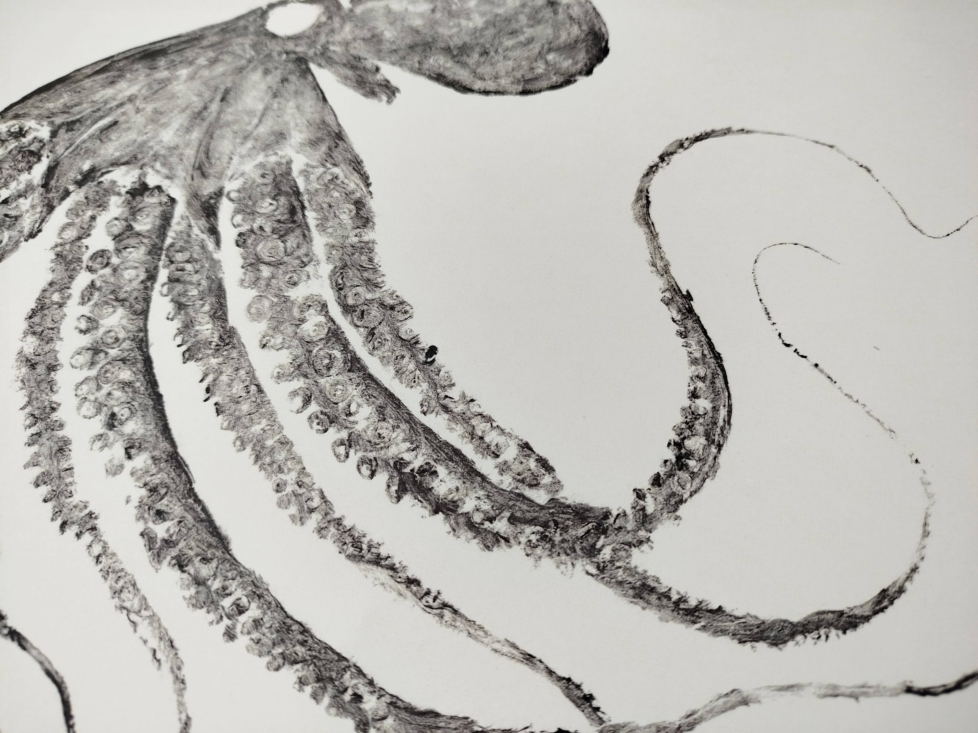 Framed art print, "Octopus Print" (gyotaku)