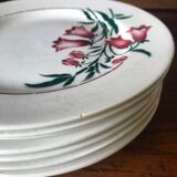St Amand Flat Plates