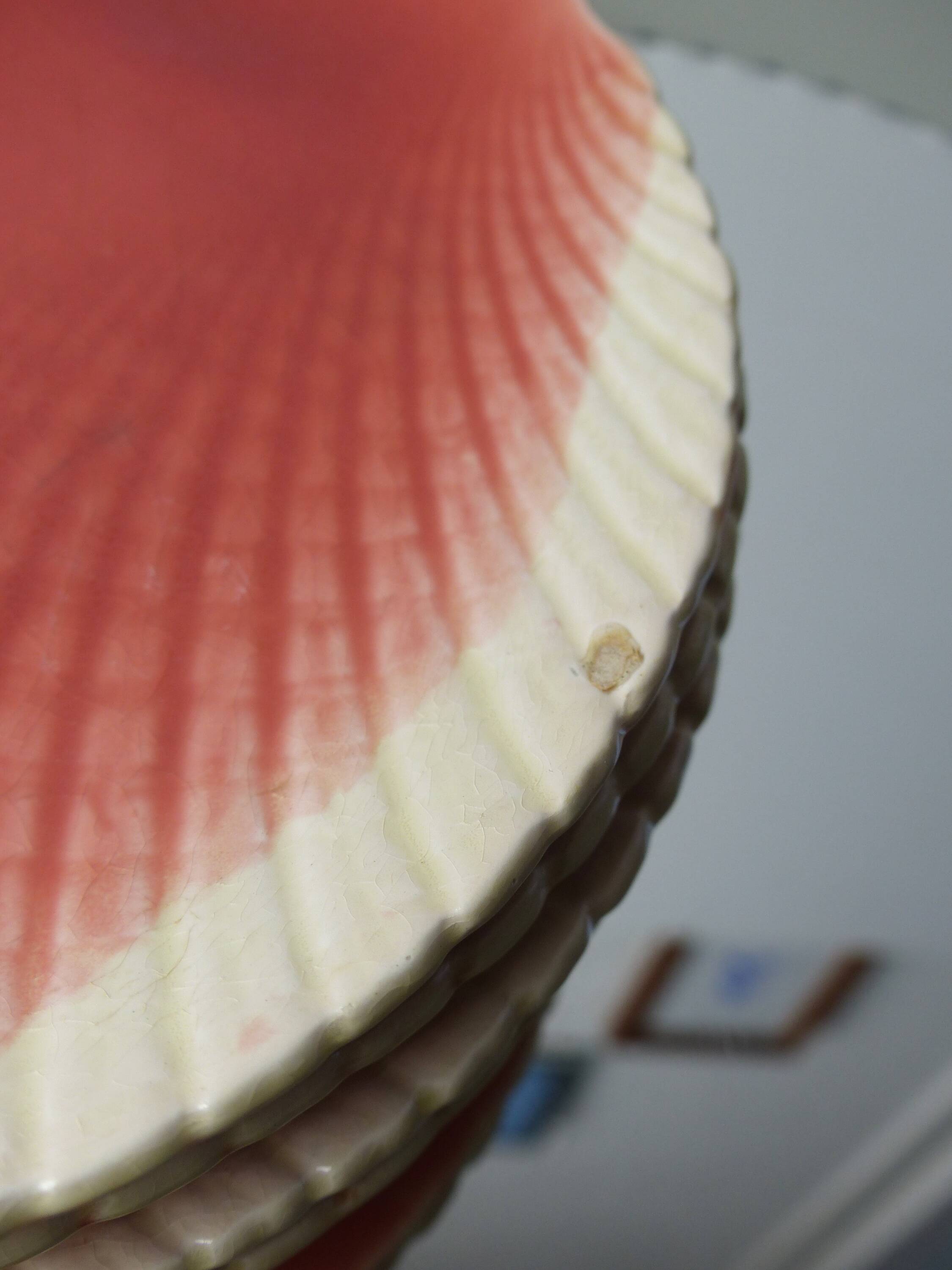 Set of 6 Sarreguemines barbotine shell plates