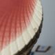 Set of 6 Sarreguemines barbotine shell plates