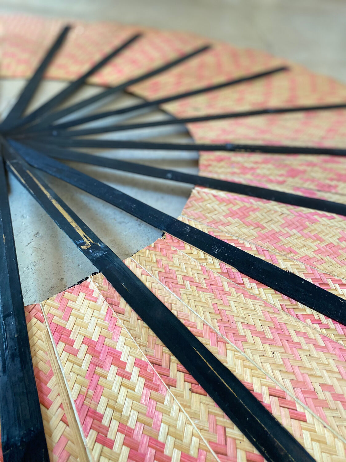 Bamboo and old cane fan (Chinese art)