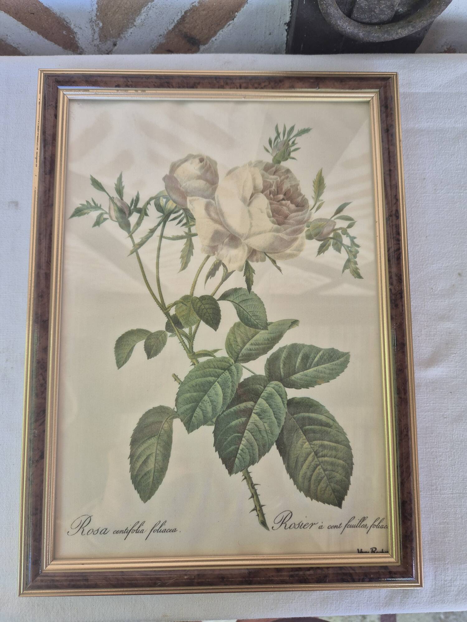 Redouté botanical white spirit roses painting