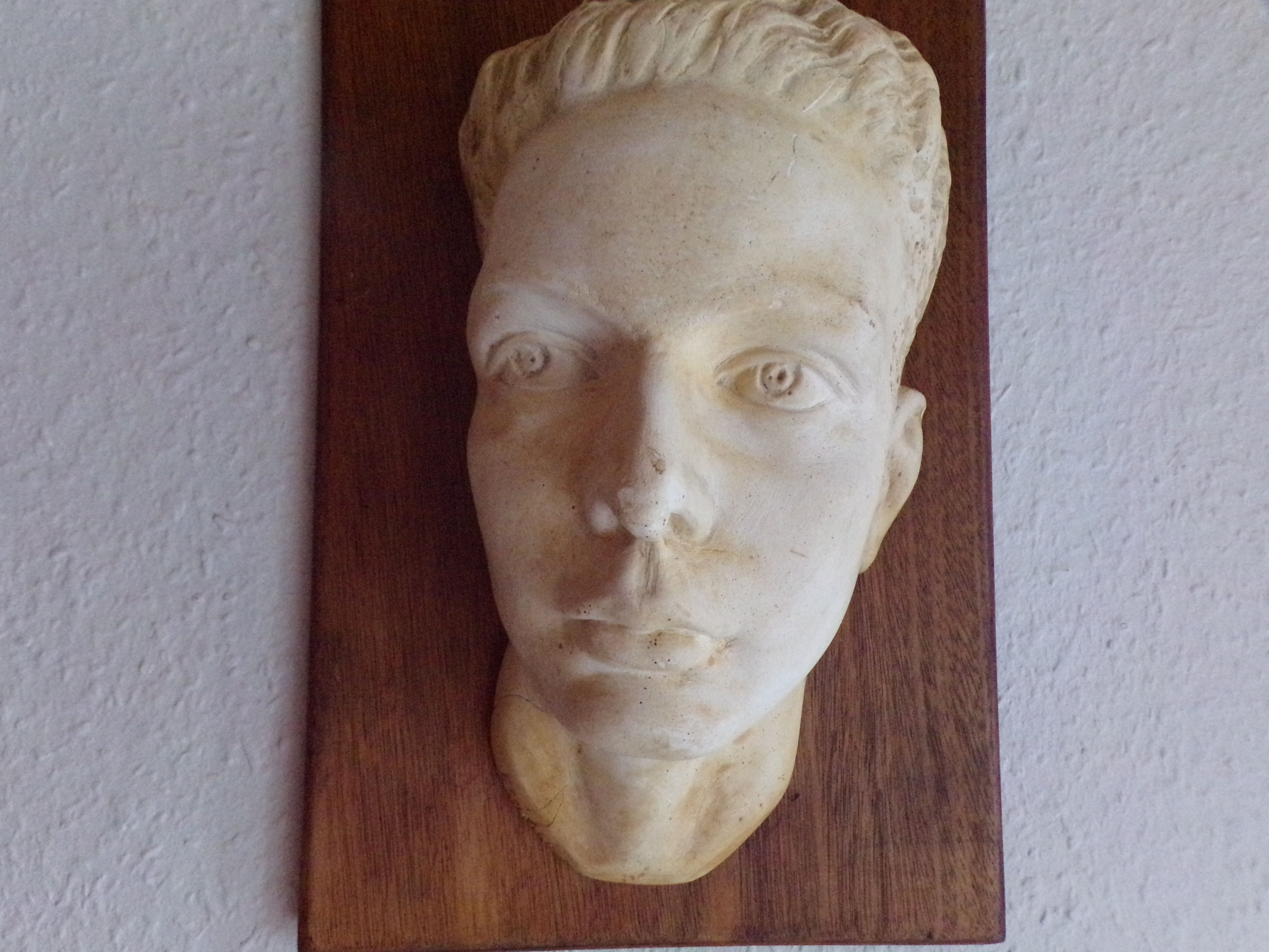 Plaster head