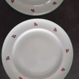 2 assiettes aux motifs de cerises