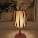 Vintage Louis Sognot Lamp